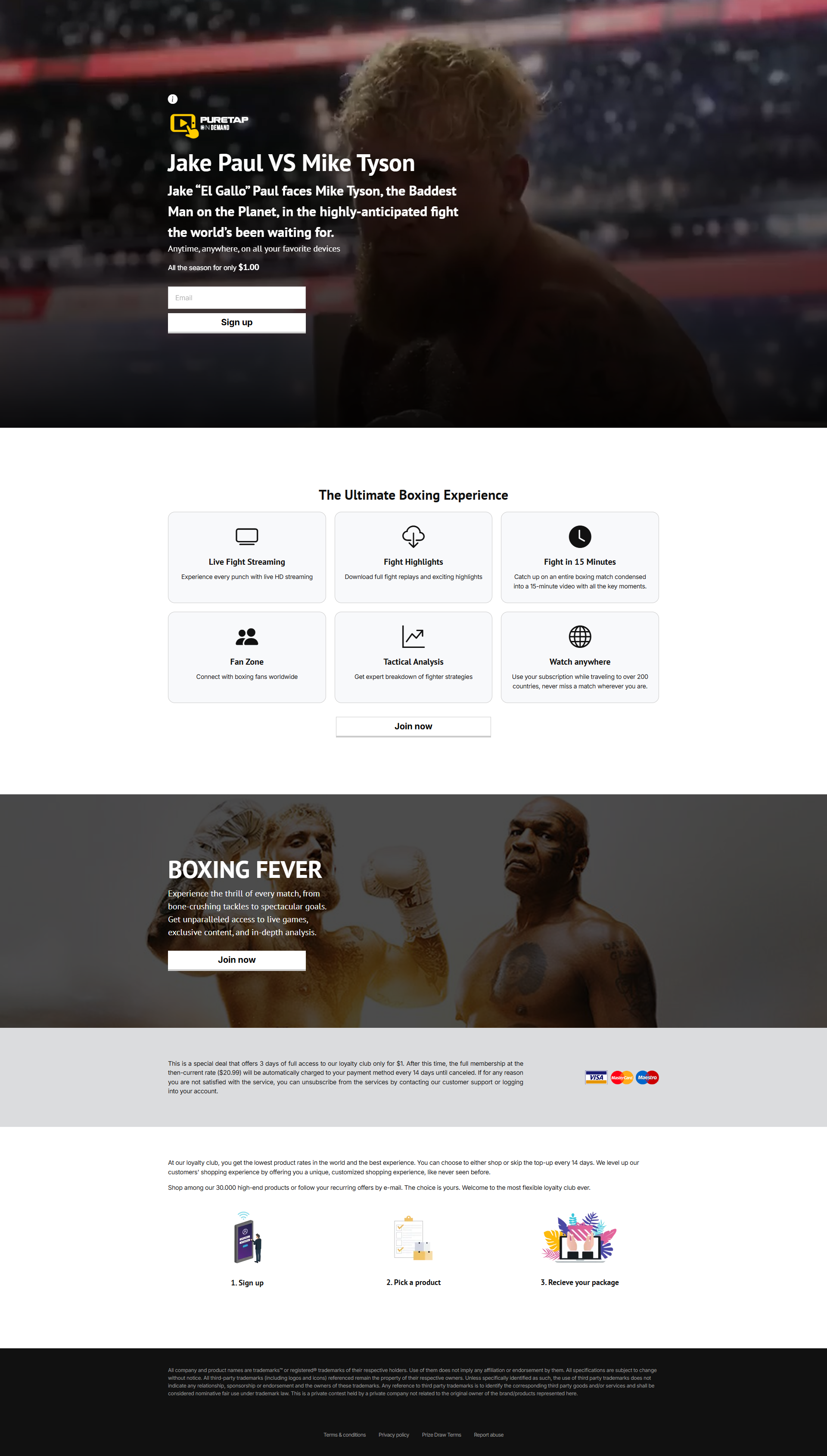 Jake Paul vs Mike Tyson Landing Page desktop screenshot